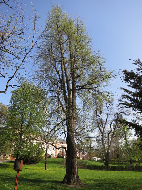 PS_112a