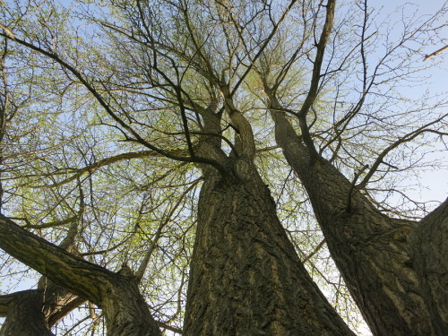 PS_112b