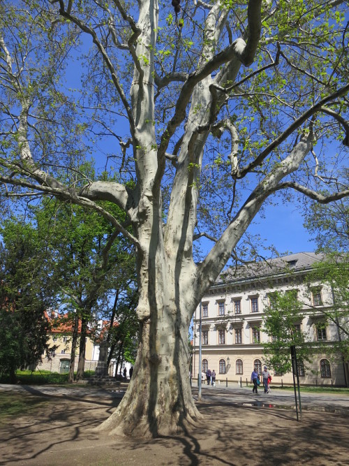PS_20b