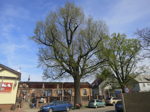 PS_71a
