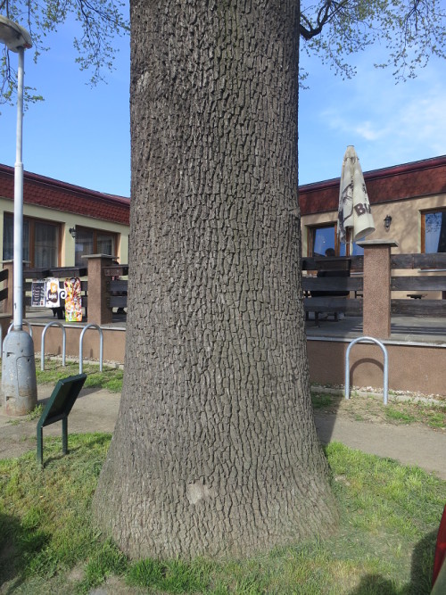 PS_71c
