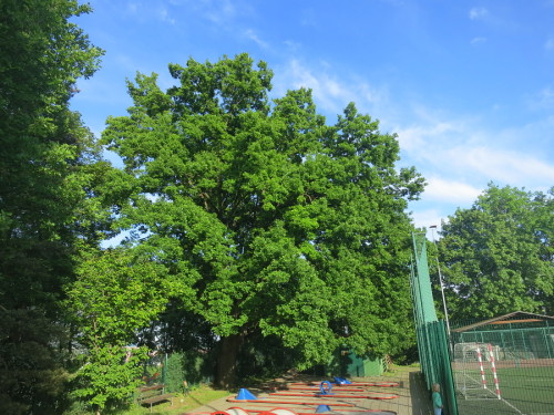 PS_90a
