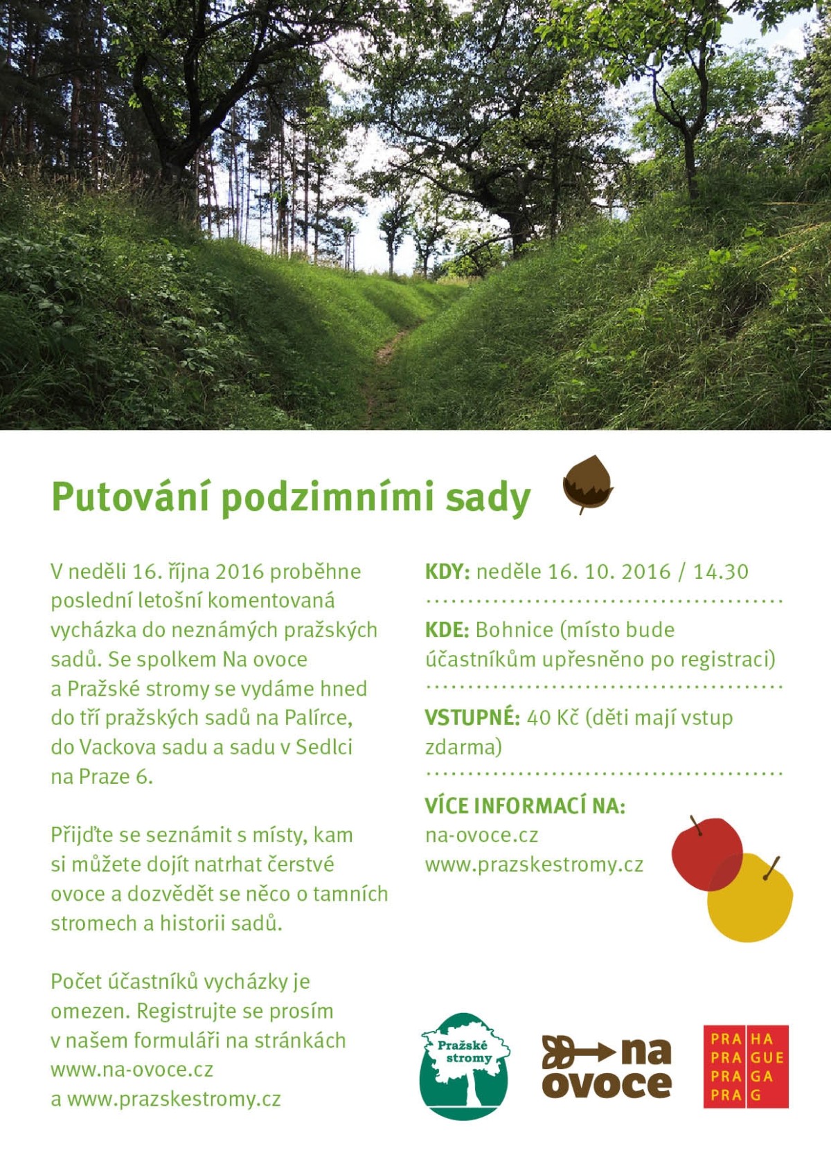 vychazka_rijen