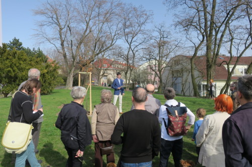 Dub cer v parku Dlážděnka na Praze 8 byl vysazen 9.4.2018. (foto: Aleš Rudl)