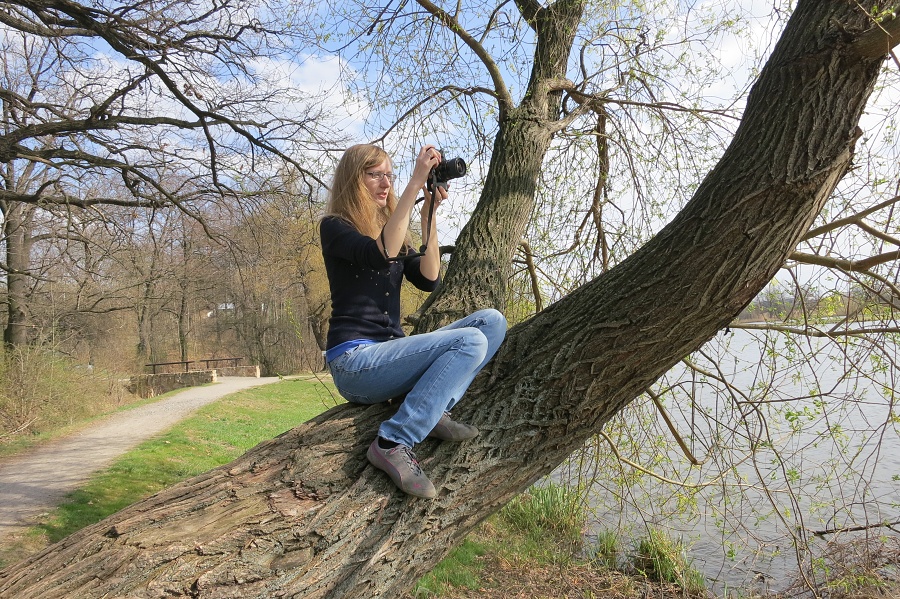 Fotografická soutěž na téma Pražské stromy