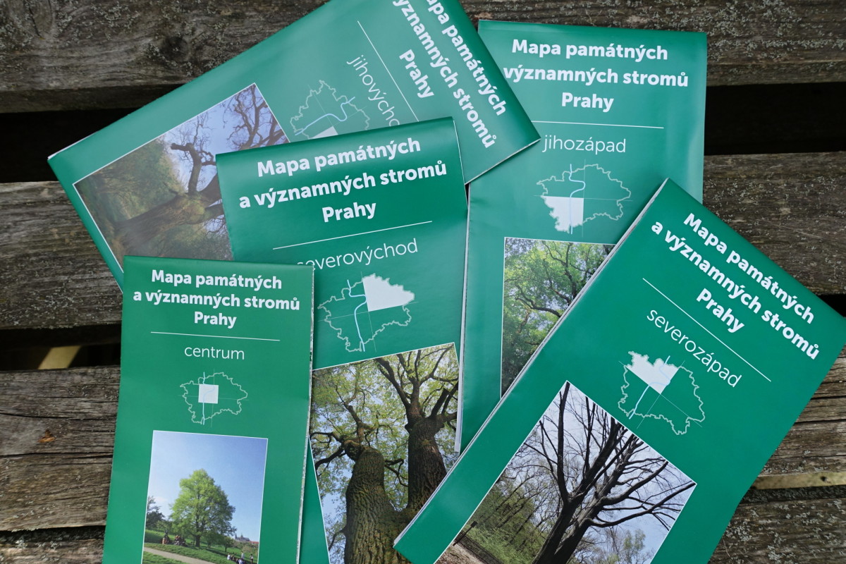 Vyzvedněte si zdarma mapy památných a významných stromů Prahy
